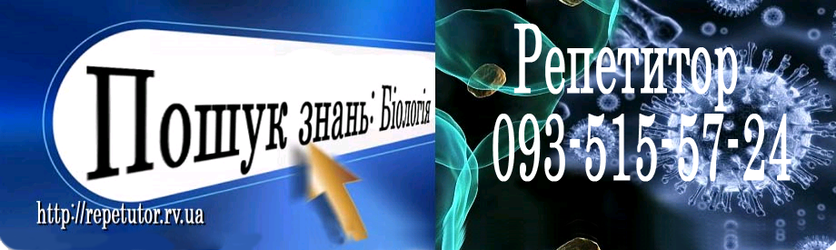 Розв'язки задач з фізики